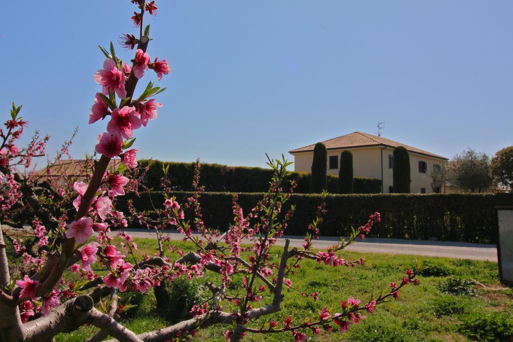 Portasirena Agriturismo Paestum Exterior photo